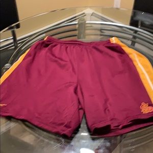 Nike Shorts Size L